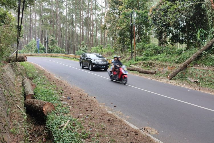 Pengendara Motor Asal Karawang Tewas Tertimpa Pohon di Lembang