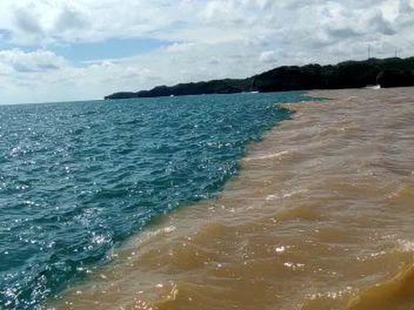 Viral Air Pantai di Gunungkidul Jadi 2 Warna, Ini Penjelasan SAR