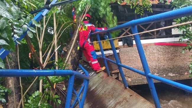 Jembatan dan Rumah Warga di Jaktim Rusak Tertimpa Pohon Tumbang