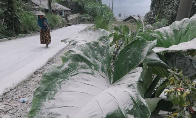Kembali Meletus, Hujan Abu Gunung Merapi Landa Sejumlah Wilayah di Jawa Tengah
