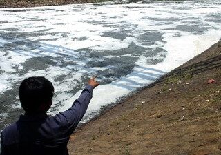 Ribuan Ikan di Sungai Cileungsi Bogor Mati, Diduga Gegara Tercemar Limbah B3