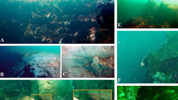Ada Lubang Biru Raksasa Ditemukan di Laut Meksiko, Isinya Luar Biasa
