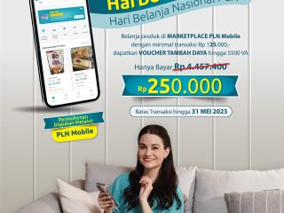 Harbelnas Sukses, Puluhan Ribu Order Banjiri UMKM di Marketplace PLN Mobile