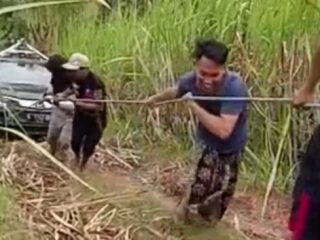 Disebut Kualat, Mobil Google Maps Tersesat di Kebun Tebu Warga