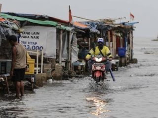 BPBD DKI Ingatkan Waspada Banjir Rob di 9 Wilayah Jakut