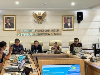 Cek Kondisi Ketenagalistrikan di Sumut, Kementerian BUMN Lakukan Monitoring 