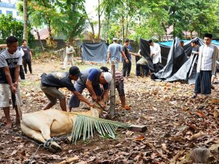 YPSA Sembelih 29 Hewan Kurban di Hari Raya Idul Adha 1444 H