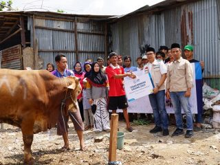 YBM PLN Salurkan 1.444 Hewan Kurban Ke Seluruh Indonesia di Momen Idul Adha
