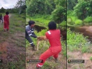 Lempar Anjing ke Rawa Berisi Buaya, 3 Orang Ditetapkan sebagai Tersangka!