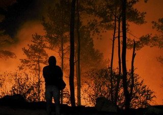 Karhutla Landa Sejumlah Wilayah di Kalsel, Total 42 Hektar Lahan Terbakar!