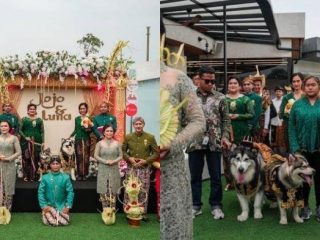 Pesta Nikah Anjing dengan Adat Jawa Banjir Kecaman, Pemilik Minta Maaf