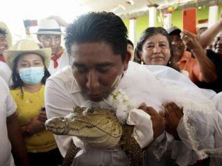 Geger! Walikota Meksiko Menikah dengan Buaya Betina