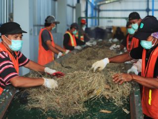 Berkapasitas 17,7 MW, PLN Kembangkan Pembangkit Listrik dari Sampah di Palembang