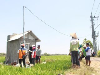 Pertanian Modern Berkembang Pesat, Program Electrifying Agriculture PLN Tumbuh 22,28 %