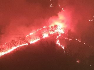 15 Hektare Lahan Hutan di Gunung Gundil Situbindo Hangus Terbakar
