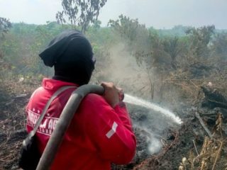 Hutan dan Lahan di Inhu Riau Terbakar, Asap Tebal Halangi Proses Pemadaman