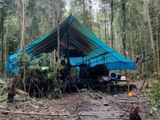 Polisi Temukan Markas KKB, Lokasinya di Hutan Belakang Kantor Bupati Yakuhimo