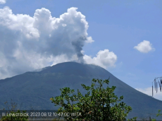 Erupsi Selama 7 Bulan, Gunung Ili Lewotolok Keluarkan Kolom Abu Setinggi 800 M Hari Ini