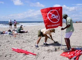 New York Tutup Pantai Rockaway Usai Seorang Wanita Kritis Digigit Hiu