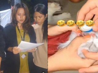 3 Wanita yang Cekoki Kucing Miras Soju di Padang Diamankan, Begini Tampangnya