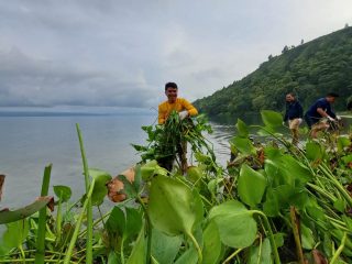 Peduli Kawasan Wisata Danau Toba, Volunteer Milenial PLN Lakukan Aksi Bersih-bersih