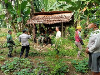 Mediasi Sukses, PLN 'Eksekusi' Tanaman Warga di Jalur T/L 70 kV Gunung Sitoli-Teluk Dalam