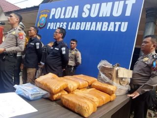 Polisi Ungkap Sindikat Narkoba Antar Provinsi, 2 Tersangka dan 12 Kg Ganja Diamankan