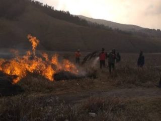 BNPB Sebut Denda Rp1,5 M terhadap Tersangka Kebakaran Gunung Bromo Masih Kurang