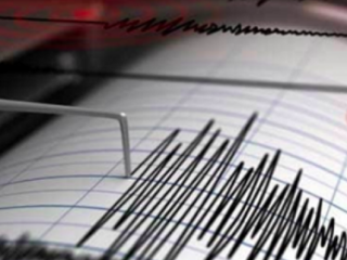 Gempa M 7,1 Guncang Wilayah Keerom Papua