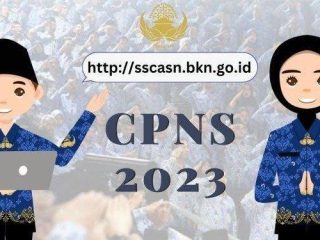 Resmi Ditutup, Pelamar CPNS dan PPPK 2023 Tembus 2,4 Juta Orang