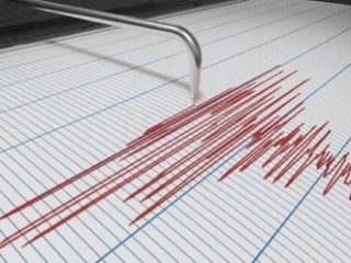 Kabupaten Asmat di Papua Diguncang Gempa M 4,6
