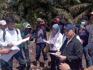 Baru Dieksekusi, PN Rantauprapat Kembali Gelar Sidang Lapangan di Lahan Yang Sama