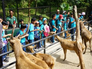 Belajar Mengenal Satwa dan Menjadi Dokter Hewan Warnai Program Edutour SD YPSA 