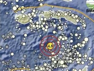 Gempa M 4,8 Terjadi di Buru Selatan Maluku