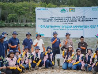 Gelar Aksi Tanam 5.000 Mangrove di Sergai, Cara Srikandi PLN UIP SBU Sambut Nataru