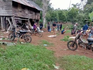 Nahas! Seorang Nenek di Lampung Tewas Usai Diserang Kawanan Gajah Liar