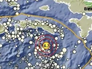 Gempa M 4,3 Guncang Seram Bagian Timur Maluku