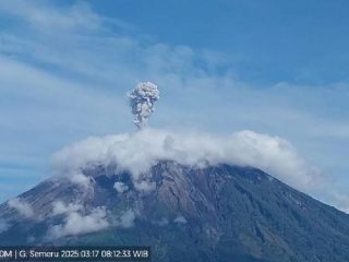 Gunung Semeru Erupsi, Semburkan Abu Vulkanik Setinggi 800 Meter