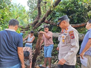 Tragis! Tertimpa Pohon Durian, Dua Pemancing di Marbau Tewas