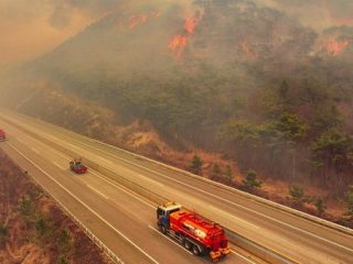 Hutan di Korsel Terbakar. 16 Orang Tewas dan 10 Lainnya Luka-Luka