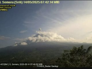 Gunung Semeru Erupsi Lagi Pagi Ini, Tinggi Letusan Capai 700 Meter