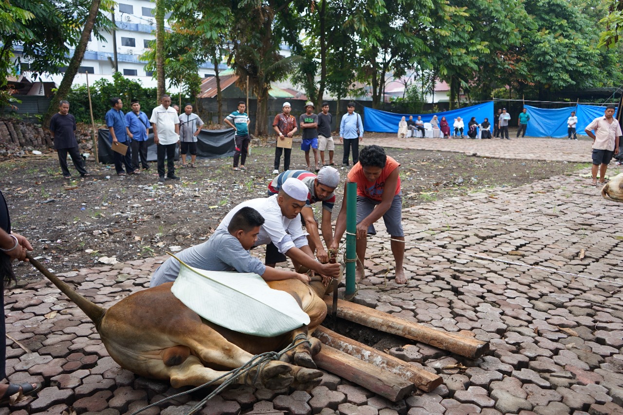 Proses penyembelihan hewan kurban yang digelar keluarga besar YPSA/foto: ist