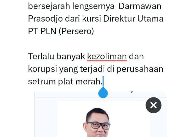 Panas Jelang RUPS PLN, Muncul Hastag #CopotDarmo dan #savePLN di X