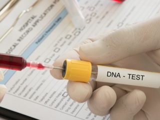 Ibu Alvaro Pulang ke Jakarta untuk Tes DNA