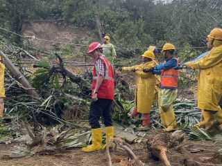 Pulihkan Sistem Kelistrikan di Tengah Cuaca Ekstrem, PLN Sumut Kerahkan Ratusan Petugas