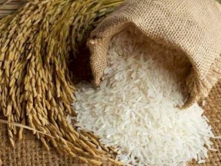 Pemerintah Pastikan Tak Ada Impor Beras Tahun Depan