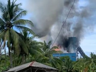 Soal Kebakaran PLTU Bengkayang Kalbar, Begini Penjelasan Dirut PLN Indonesia Power