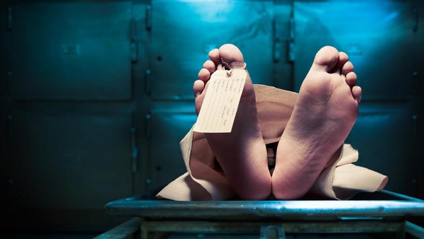 Tertimpa Longsoran Batu Besar, Seorang Penambang di Lebak Tewas