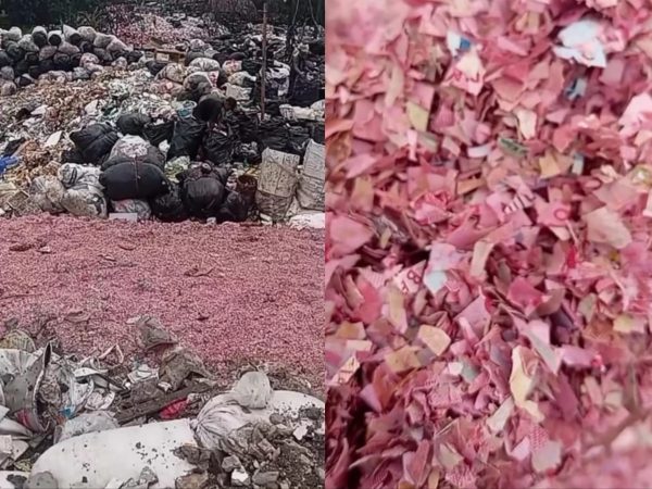 Viral Cacahan Kertas Diduga Uang Ditemukan di TPS Liar Bekasi