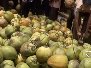 Sajikan Kelapa Utuh di Menu MBG, BGN Setop Sementara 9 Dapur di Gresik